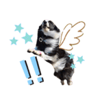Tiarius②（個別スタンプ：3）