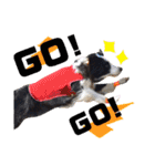 Tiarius②（個別スタンプ：8）