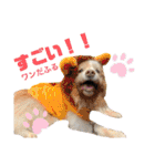 Tiarius②（個別スタンプ：9）