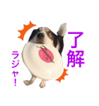 Tiarius②（個別スタンプ：13）