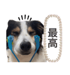 Tiarius②（個別スタンプ：16）