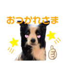 Tiarius②（個別スタンプ：17）