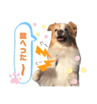 Tiarius②（個別スタンプ：27）