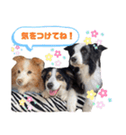 Tiarius②（個別スタンプ：30）