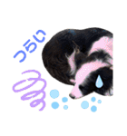 Tiarius②（個別スタンプ：36）