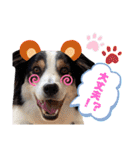 Tiarius②（個別スタンプ：38）