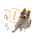 Tiarius②（個別スタンプ：40）