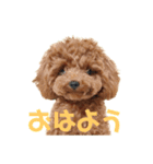 もあな(451)（個別スタンプ：1）