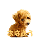 ティナ(452)（個別スタンプ：1）