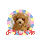 ティナ(452)（個別スタンプ：5）