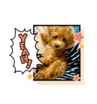 ティナ(452)（個別スタンプ：6）
