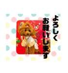ティナ(452)（個別スタンプ：7）