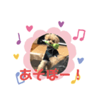 レオ(453)（個別スタンプ：7）