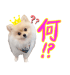 瀧川家のアイドル（個別スタンプ：1）