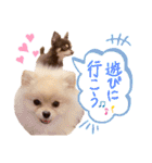 瀧川家のアイドル（個別スタンプ：2）