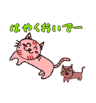 明るい猫 あかねっこ（個別スタンプ：16）