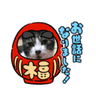牛柄猫ここのスタンプ（個別スタンプ：3）