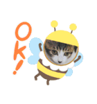 牛柄猫ここのスタンプ（個別スタンプ：12）