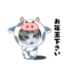 牛柄猫ここのスタンプ（個別スタンプ：13）