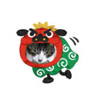牛柄猫ここのスタンプ（個別スタンプ：18）