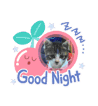 牛柄猫ここのスタンプ（個別スタンプ：24）