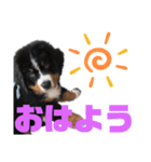 バリーNo.1（個別スタンプ：2）