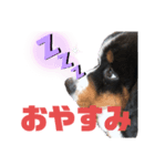 バリーNo.1（個別スタンプ：3）