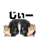 バリーNo.1（個別スタンプ：4）