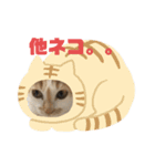 #初売りスタンプ にゃんneko3（個別スタンプ：6）