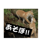不安を癒し良いエネルギーを発信しよう★（個別スタンプ：2）