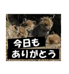 不安を癒し良いエネルギーを発信しよう★（個別スタンプ：3）