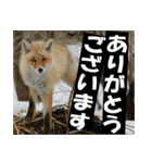 不安を癒し良いエネルギーを発信しよう★（個別スタンプ：4）