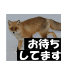 不安を癒し良いエネルギーを発信しよう★（個別スタンプ：5）