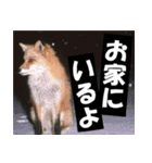 不安を癒し良いエネルギーを発信しよう★（個別スタンプ：6）