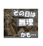 不安を癒し良いエネルギーを発信しよう★（個別スタンプ：7）