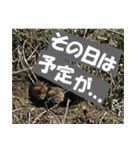 不安を癒し良いエネルギーを発信しよう★（個別スタンプ：8）