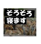 不安を癒し良いエネルギーを発信しよう★（個別スタンプ：9）