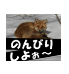 不安を癒し良いエネルギーを発信しよう★（個別スタンプ：10）