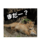 不安を癒し良いエネルギーを発信しよう★（個別スタンプ：11）