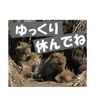 不安を癒し良いエネルギーを発信しよう★（個別スタンプ：13）