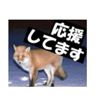 不安を癒し良いエネルギーを発信しよう★（個別スタンプ：14）