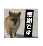 不安を癒し良いエネルギーを発信しよう★（個別スタンプ：15）