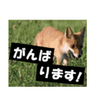不安を癒し良いエネルギーを発信しよう★（個別スタンプ：16）