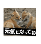 不安を癒し良いエネルギーを発信しよう★（個別スタンプ：17）