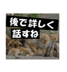 不安を癒し良いエネルギーを発信しよう★（個別スタンプ：18）