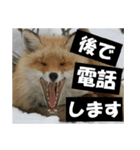 不安を癒し良いエネルギーを発信しよう★（個別スタンプ：19）