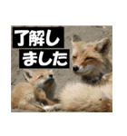 不安を癒し良いエネルギーを発信しよう★（個別スタンプ：20）