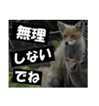 不安を癒し良いエネルギーを発信しよう★（個別スタンプ：21）