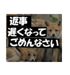 不安を癒し良いエネルギーを発信しよう★（個別スタンプ：22）