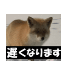 不安を癒し良いエネルギーを発信しよう★（個別スタンプ：23）